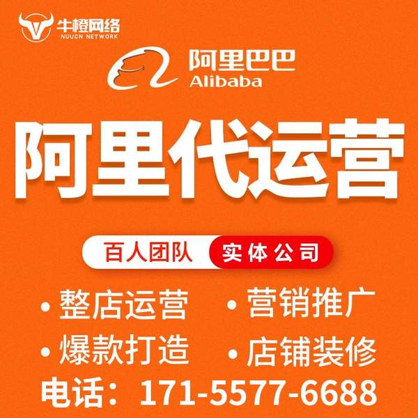 彬州电商代运营