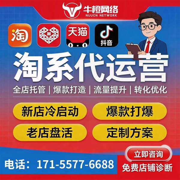 彬州电商代运营