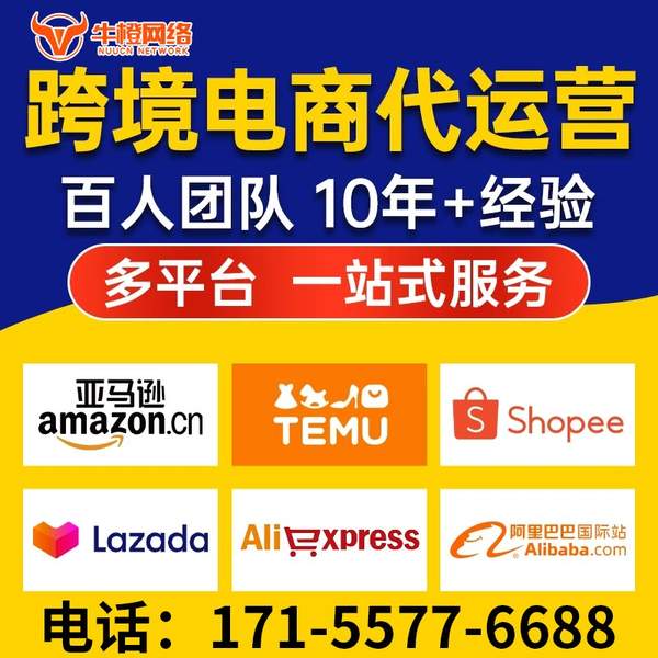 彬州电商代运营