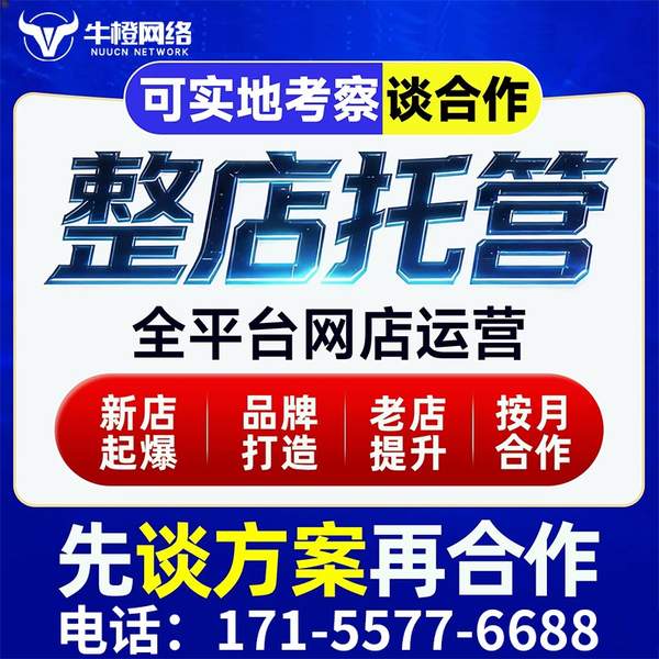 彬州电商代运营