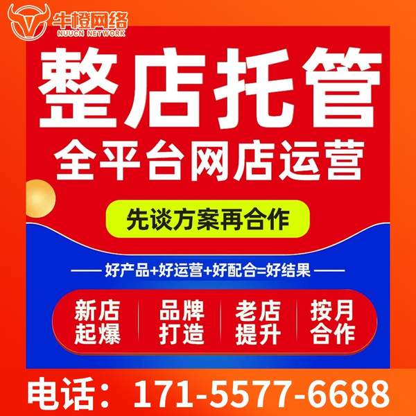 彬州电商代运营