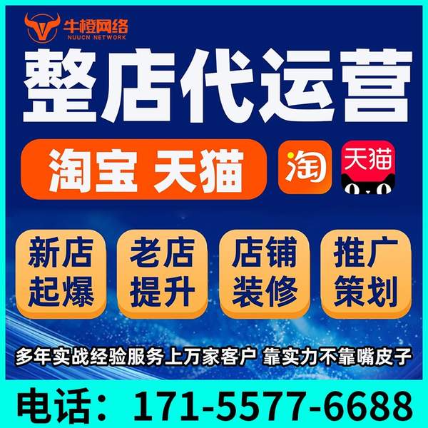 彬州电商代运营