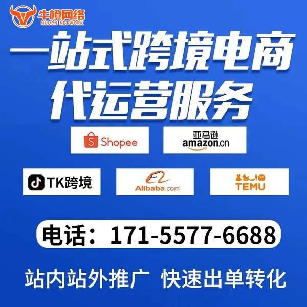 彬州电商代运营