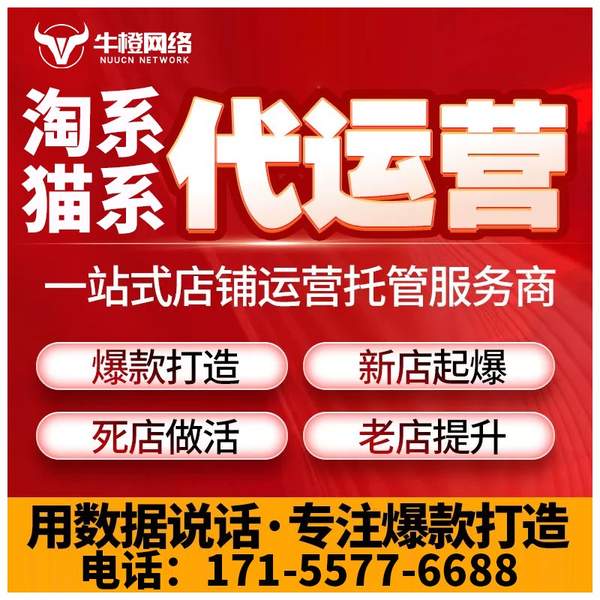 彬州电商代运营